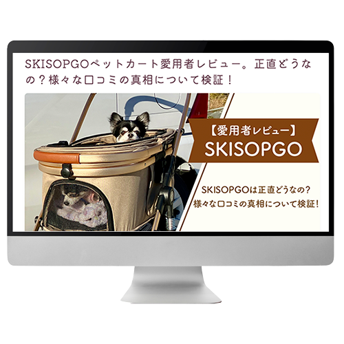 PCモックアップ用スキソプゴ2